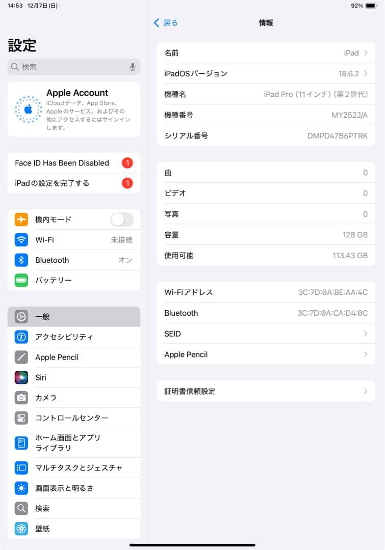 Apple iPad Pro (11インチ) 128GB 第2世代