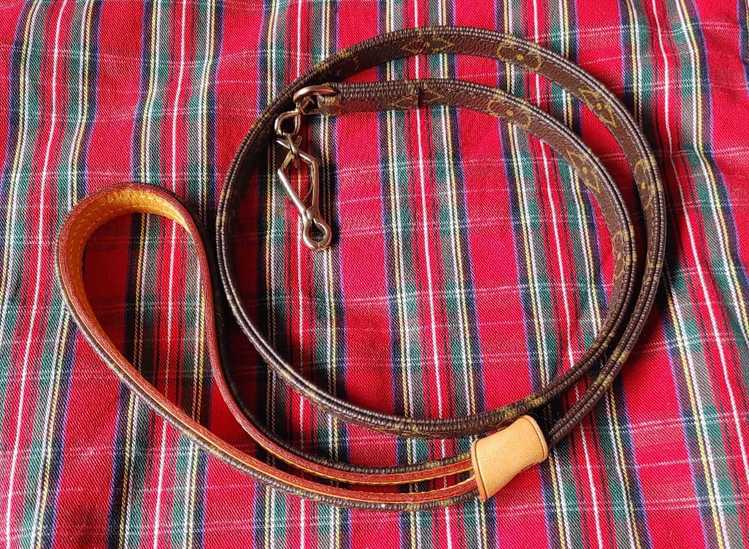 ルイヴィトン★カラー&リード★美品