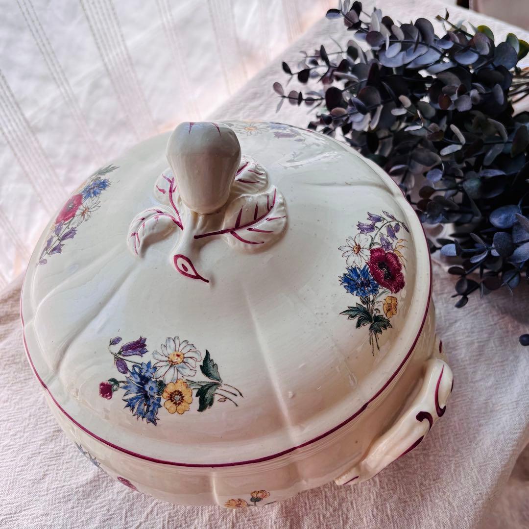 【希少】ディゴワン サルグミンヌ アグレスト レギュミエ