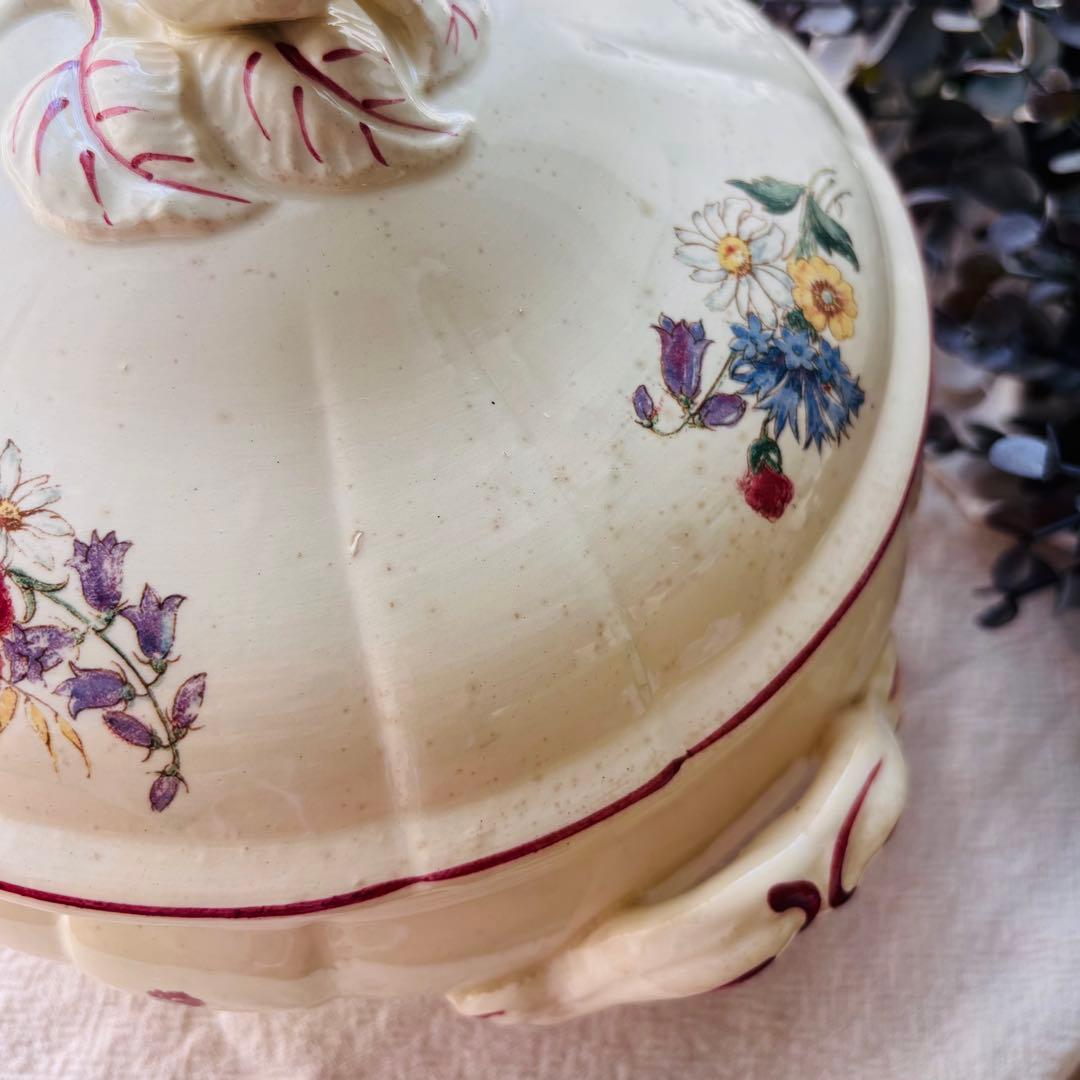 【希少】ディゴワン サルグミンヌ アグレスト レギュミエ