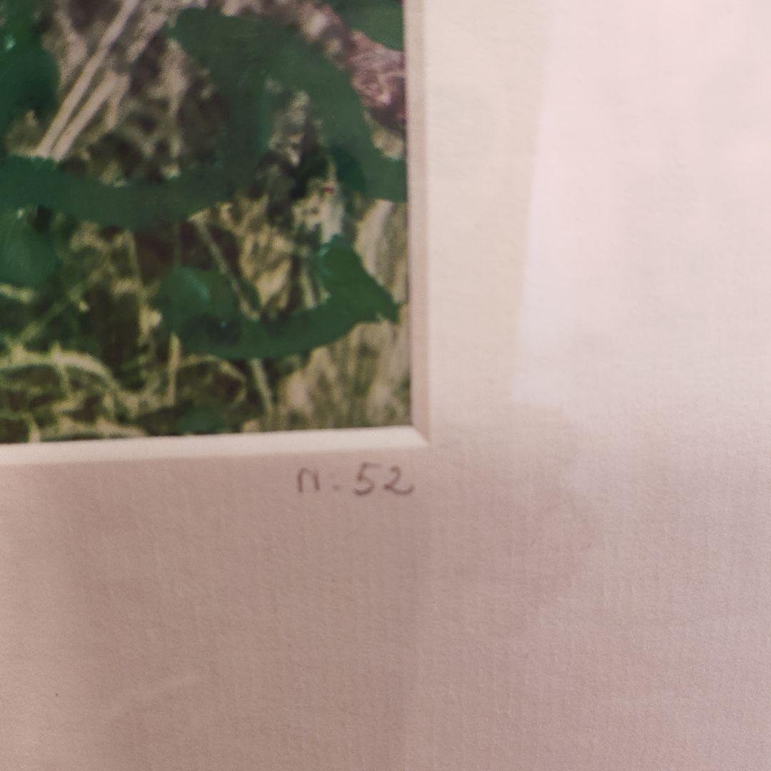 Ｉ'm not a trophy sinba 9　アート作品