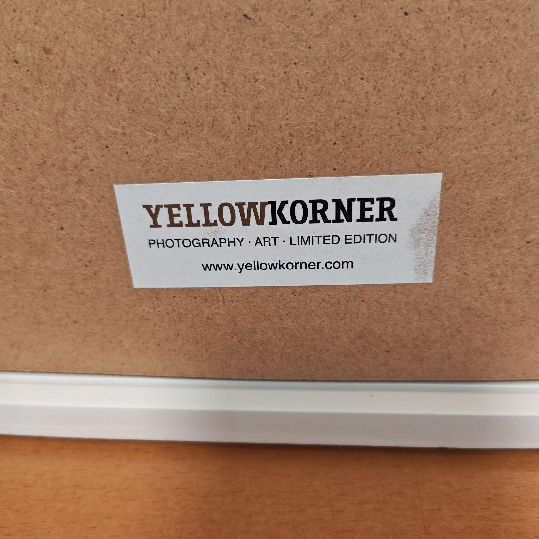 Ｉ'm not a trophy sinba 9　アート作品