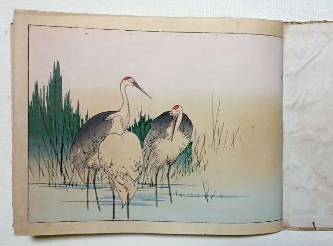 稀省亭版画花鳥画帖12図柄入り渡辺省亭画、明治後期頃芸艸堂出版