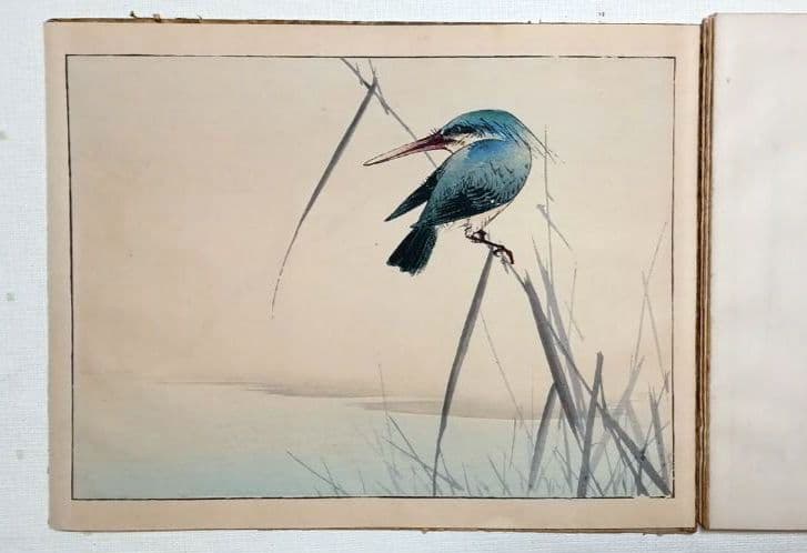 稀省亭版画花鳥画帖12図柄入り渡辺省亭画、明治後期頃芸艸堂出版