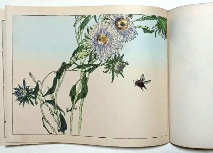 稀省亭版画花鳥画帖12図柄入り渡辺省亭画、明治後期頃芸艸堂出版