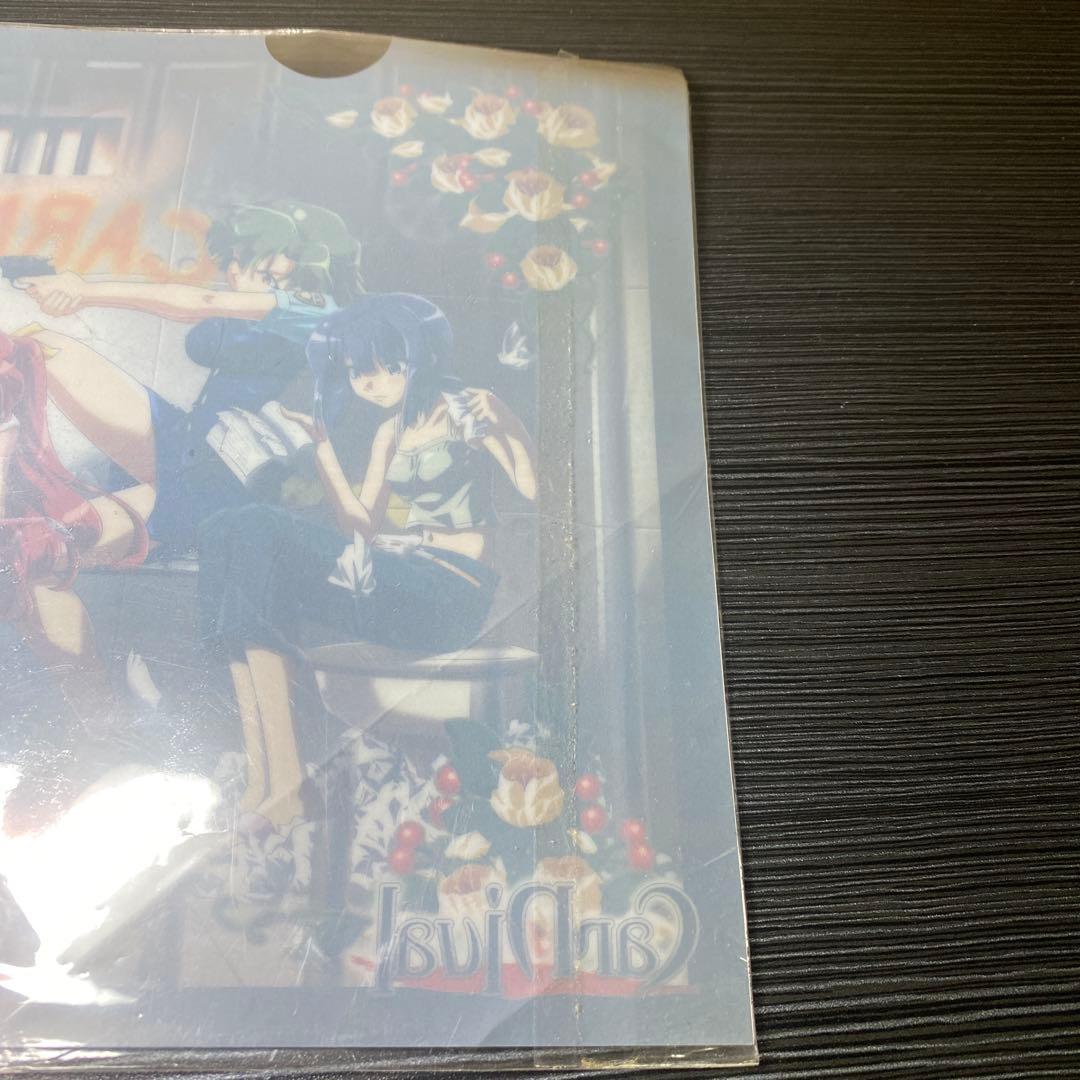 【未使用】CARNIVAL クリアファイル S.M.L