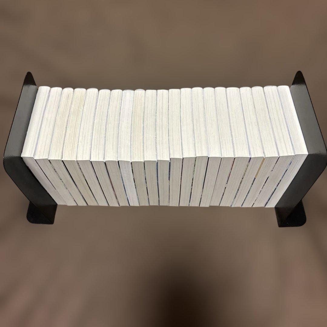 公女殿下の家庭教師 全巻 0-20巻 七野りく 小説 ラノベ 初版本多数