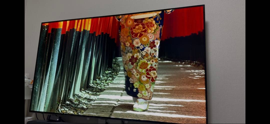 【y122o】LG有機ELテレビ 55インチ　OLED55C8PJA