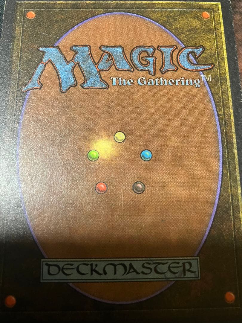 マジック：ザ・ギャザリング Tundra mtg