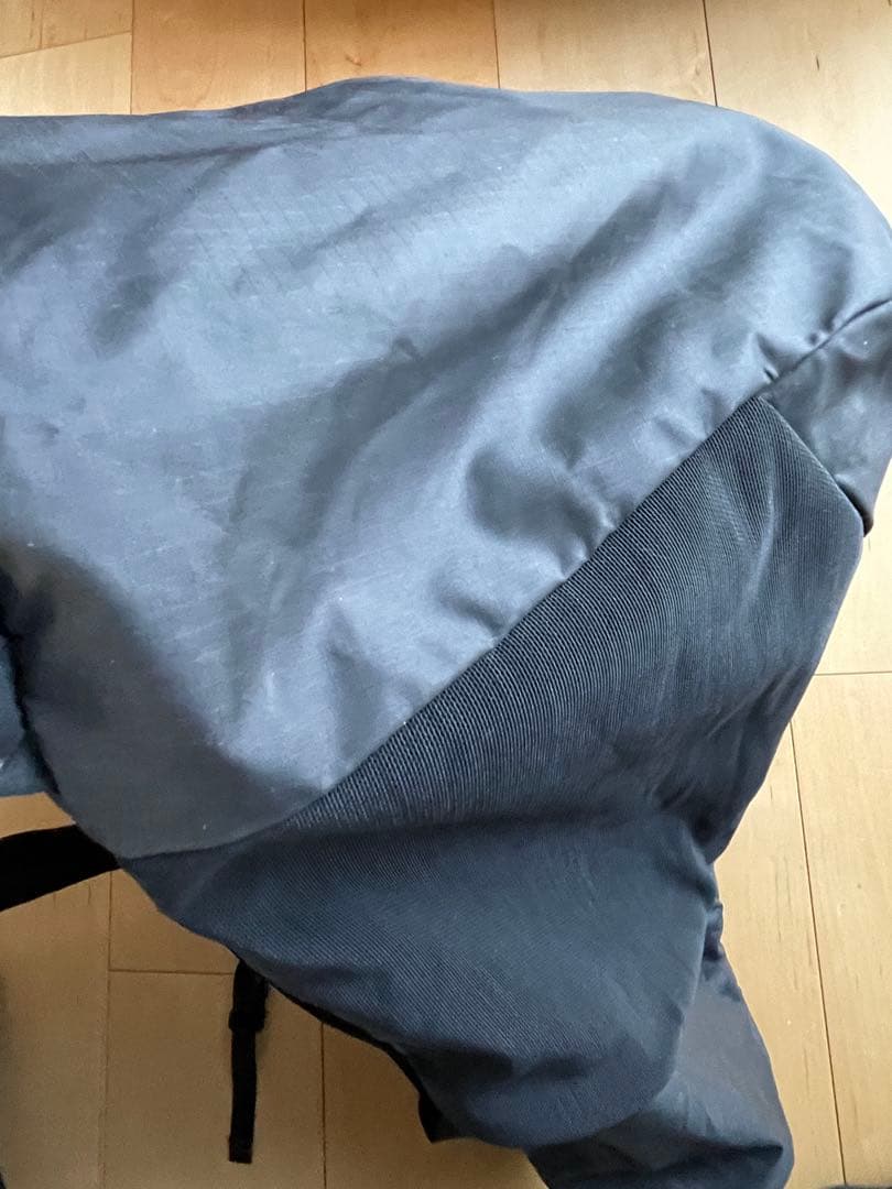 Patagonia パタゴニア　ライトウェイトトラベルトートパック