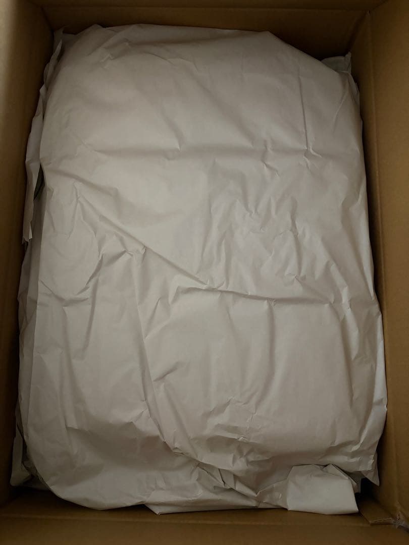 崩壊スターレイル 丹恒 飲月 フィギュア DX版 未開封 箱痛みあり