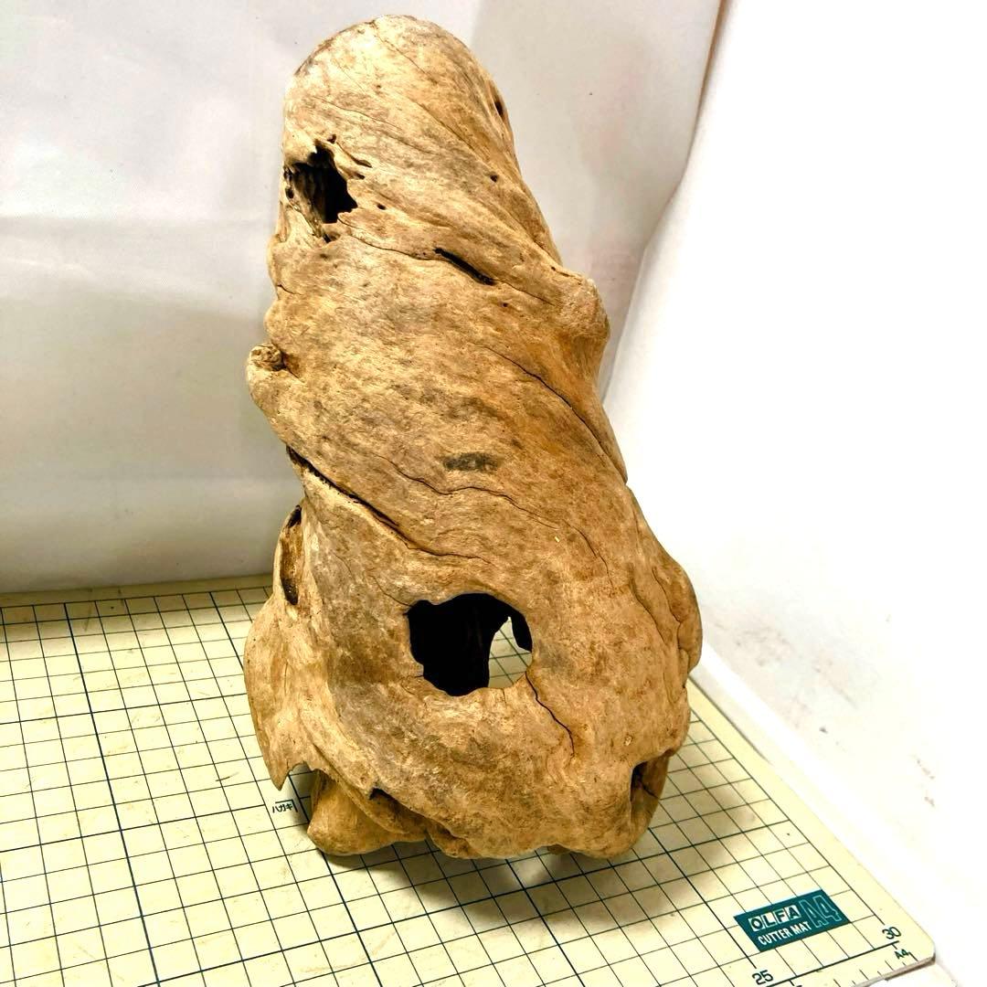 流木 その7 【自立型】自然沈水確認済み