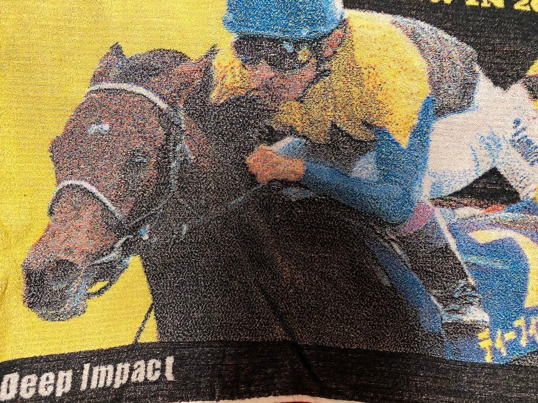 【未使用】箱付　ディープインパクト　社台スタリオンステーション　バスタオル