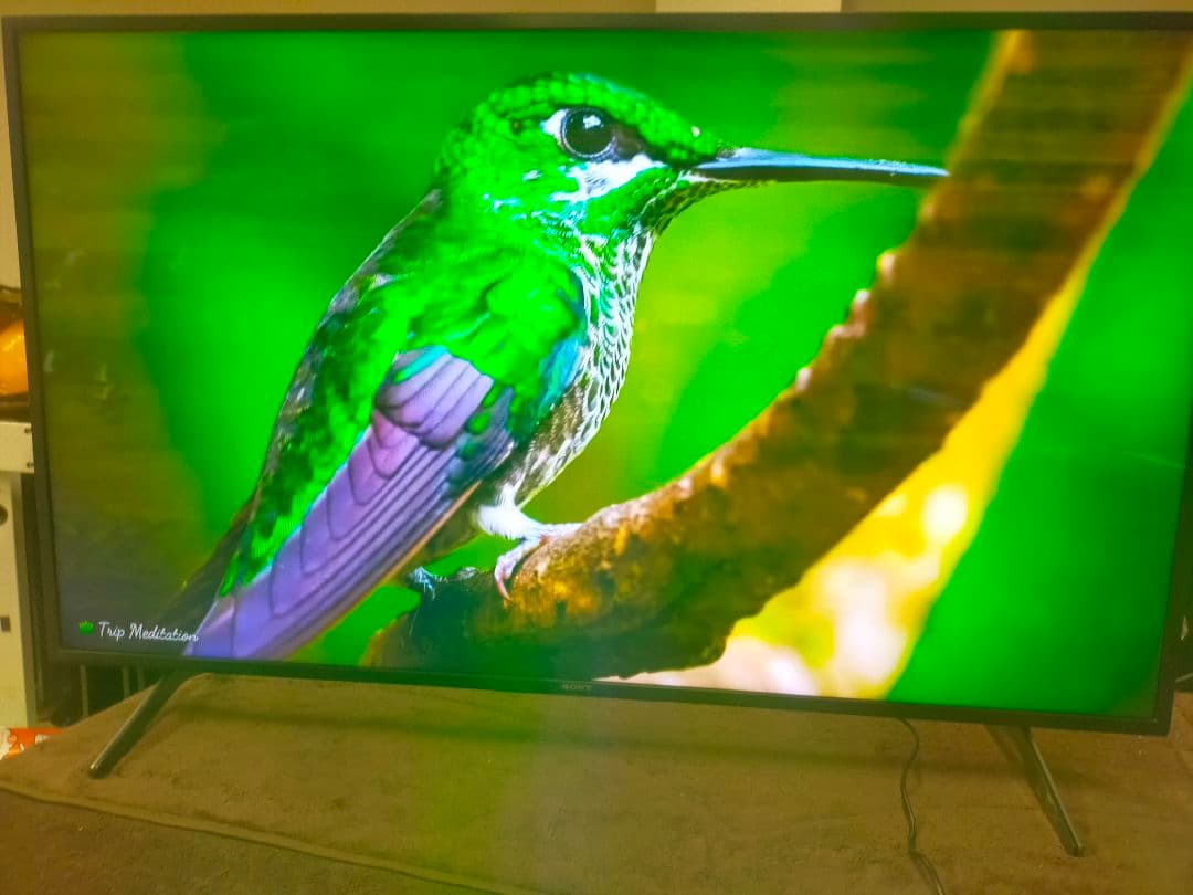 SONY BRAVIA KJ-55X8000H（2020年製）