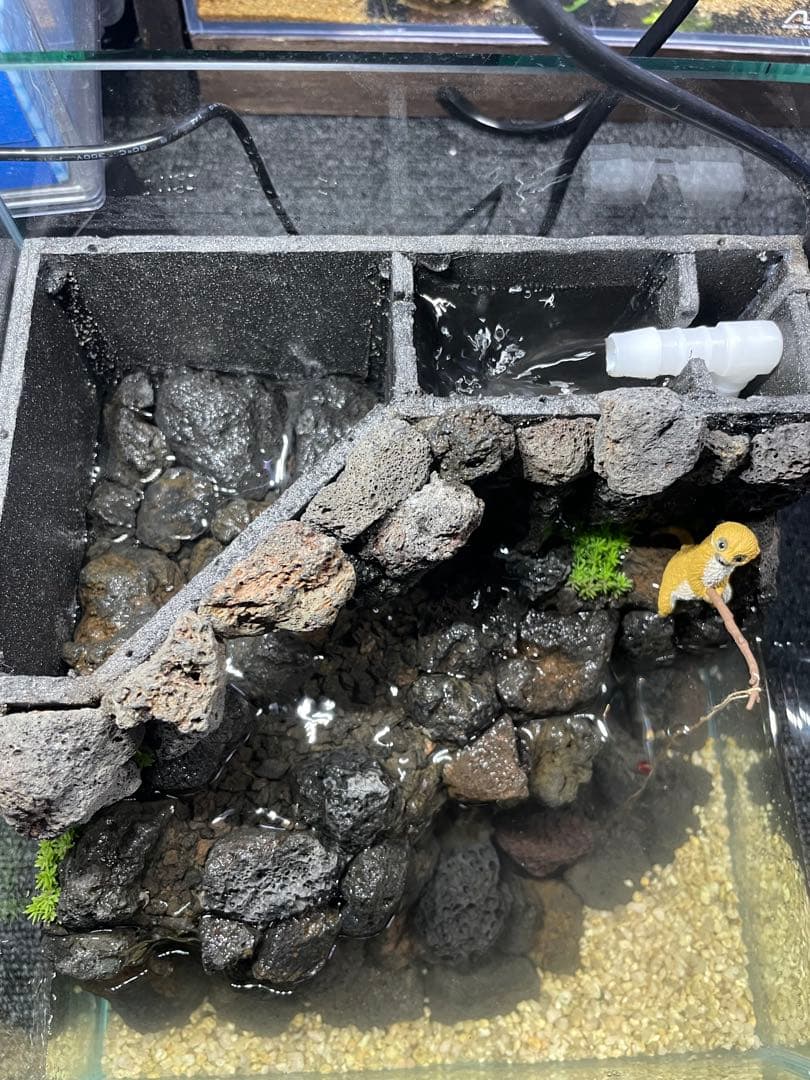 アクアテラリウム　　溶岩石　No.3　※傷あり特価※