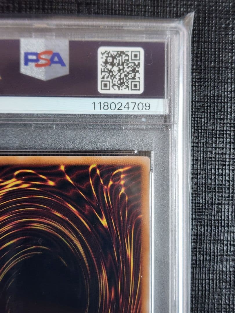 ご*こ様 連番 PSA10 究極完全態 グレートモス ホーリーナイトドラゴン 2