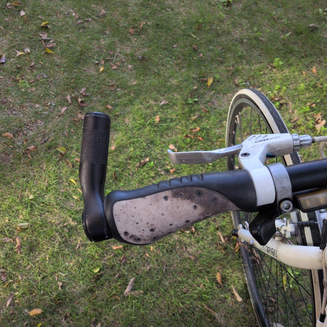 LOUIS GARNEAU CHASSE クロスバイク