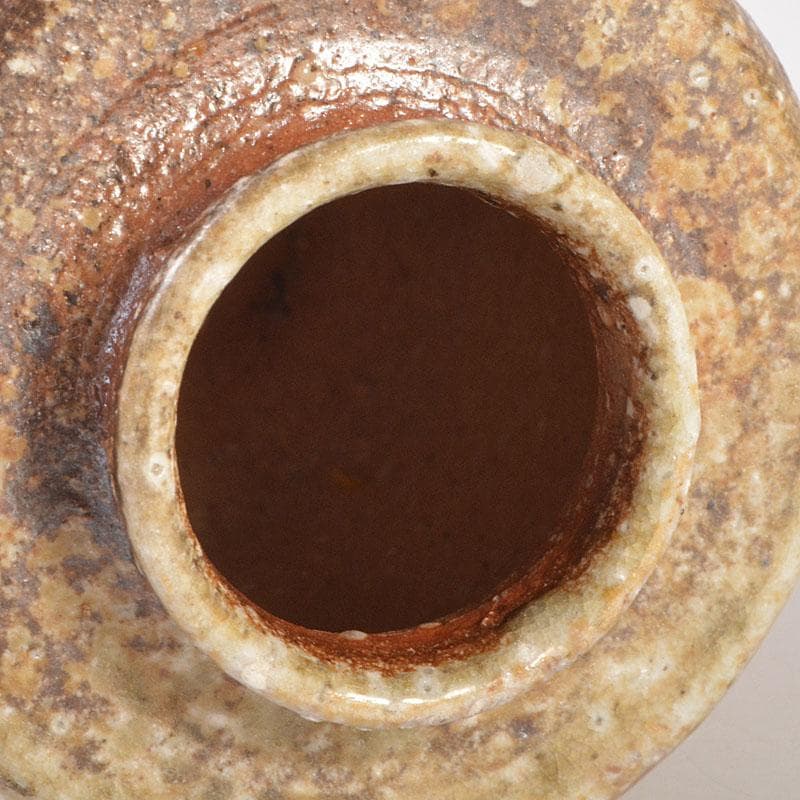 茶道具　信楽焼　高橋楽斎造　信楽茶入　仕覆付　共箱　V　6855