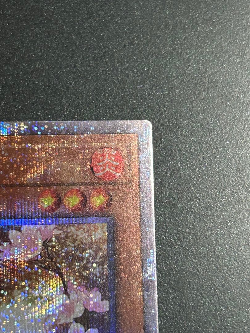 【ローダー付き】遊戯王 クォーターセンチュリーコレクション 灰流うらら 25th