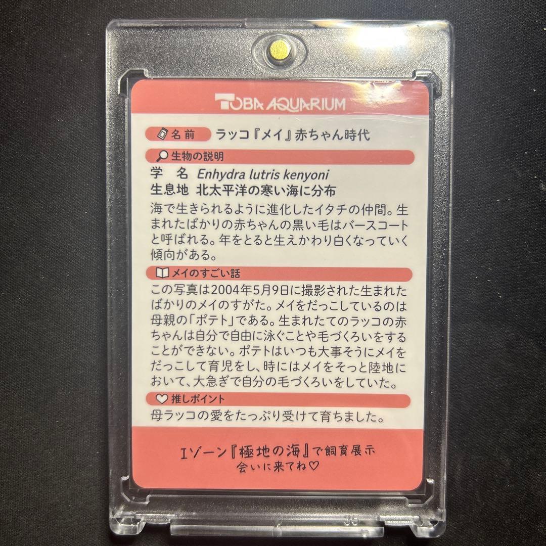 た*ま様 最安値　鳥羽水族館　メイセット(レア+ノーマル)