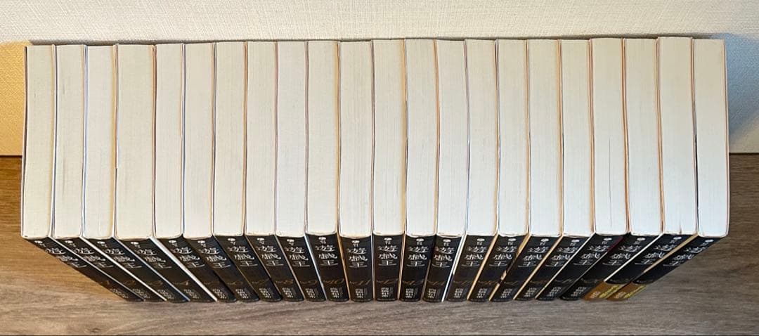 遊戯王　文庫版　全22巻セット　高橋 和希