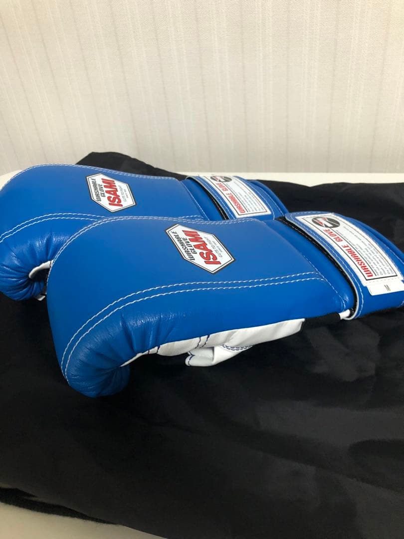 パンチンググローブ イサミ M