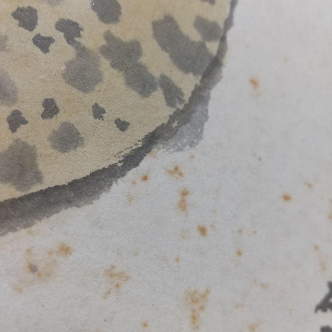 小説家画家 武者小路実篤 肉筆色紙 柚子？