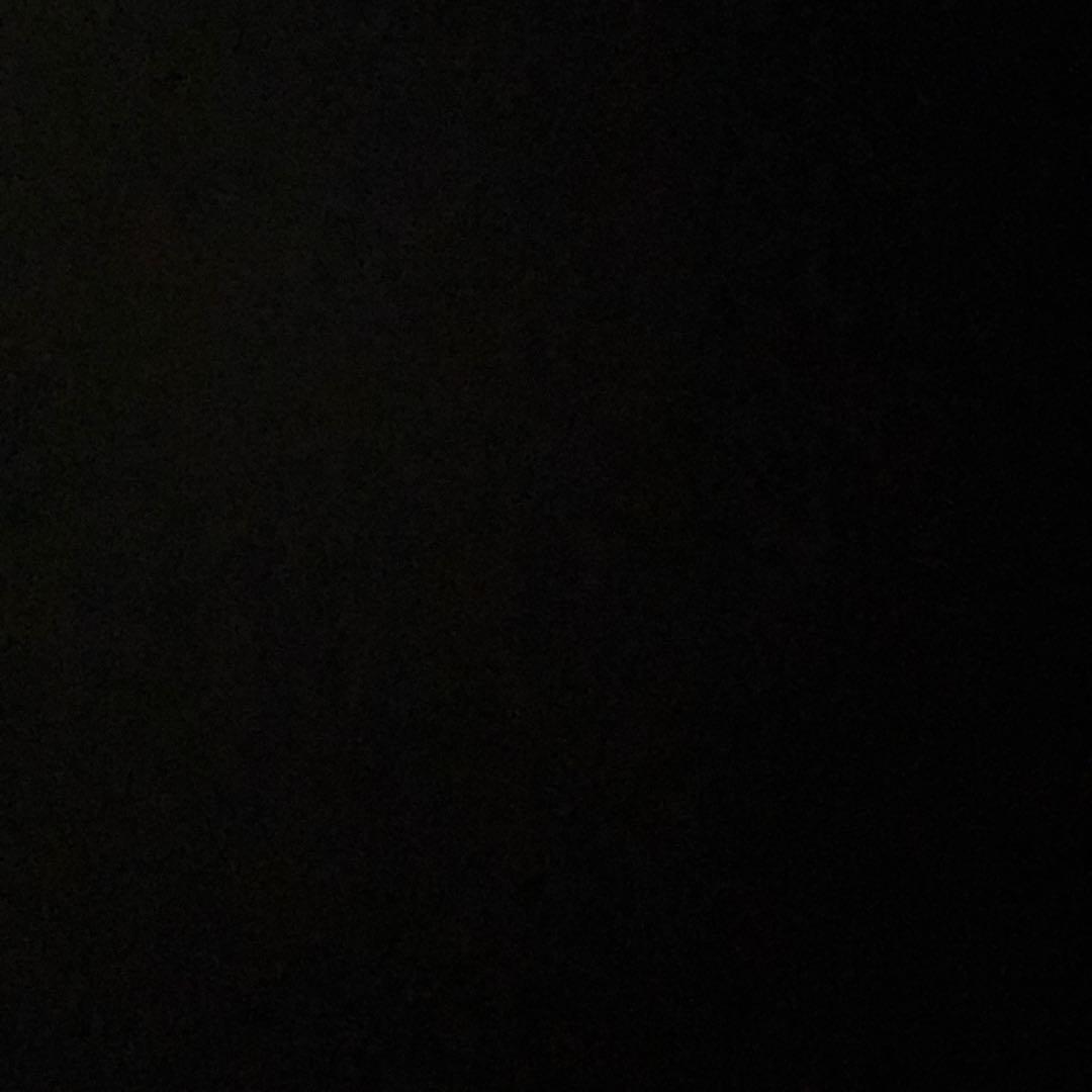 かわせさん用　mtg マスターズ25th 日本語 シュリンク 未開封