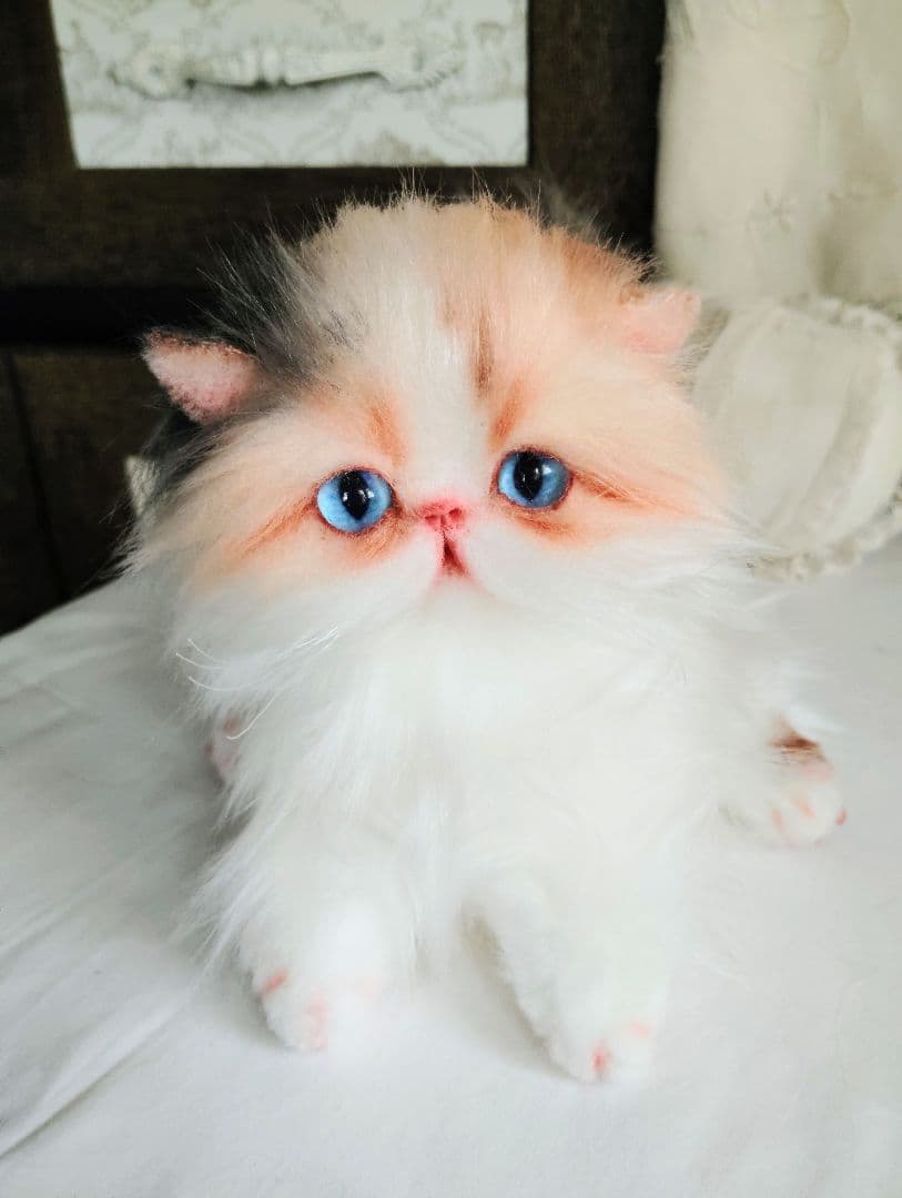 ハート模様❤子猫のドロップちゃん❤エキゾチック♡アートドール♡ぬいぐるみ♡