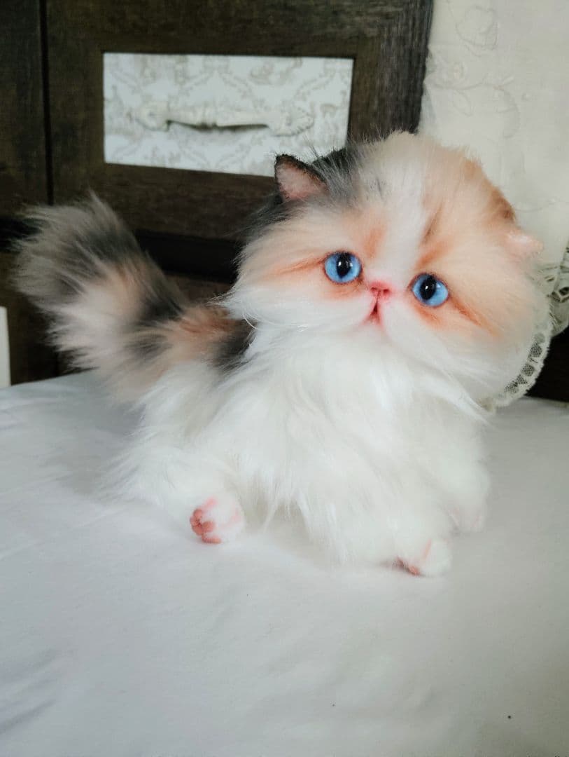 ハート模様❤子猫のドロップちゃん❤エキゾチック♡アートドール♡ぬいぐるみ♡