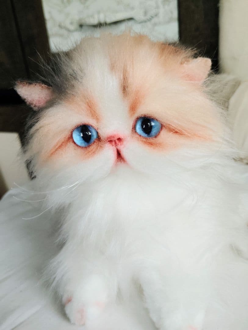 ハート模様❤子猫のドロップちゃん❤エキゾチック♡アートドール♡ぬいぐるみ♡