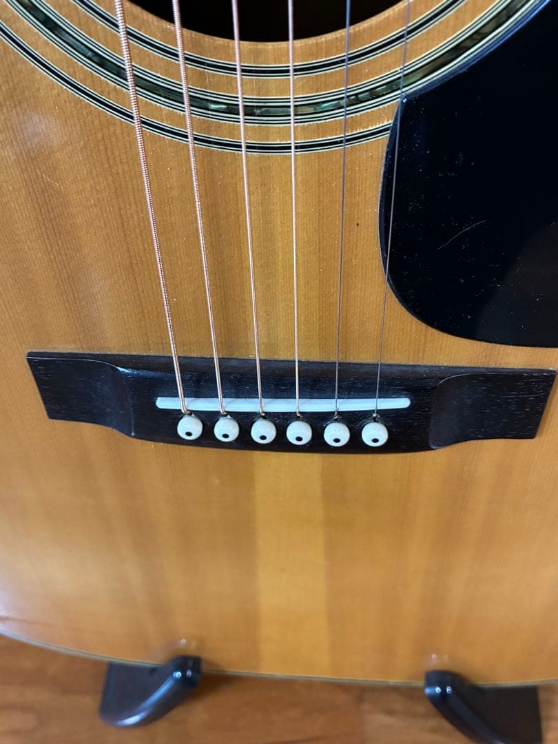 ProMartin w-200 縦ロゴ　アコースティックギター