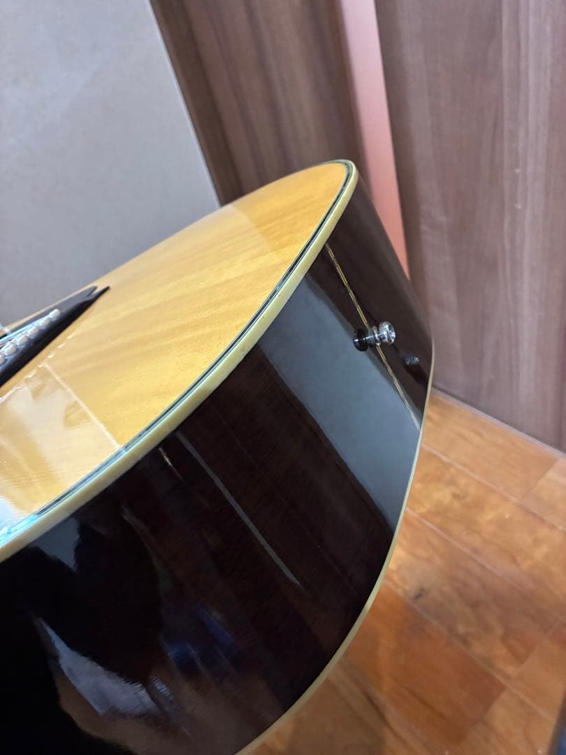 ProMartin w-200 縦ロゴ　アコースティックギター