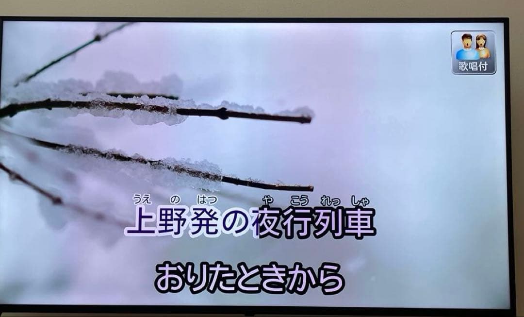 オンステージ カラオケ HDMI対応 PK-NE01W 900曲内蔵新品電池付