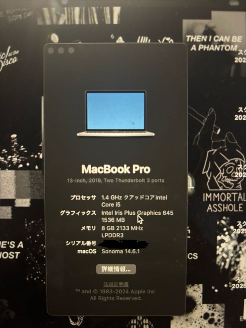 MacBook本体 Mr vido MacBook Pro 2019 i5 8GB 128GB