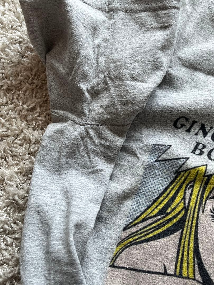 銀杏BOYZ 君と僕の第三次世界大戦的恋愛革命 tシャツ シルクスクリーン