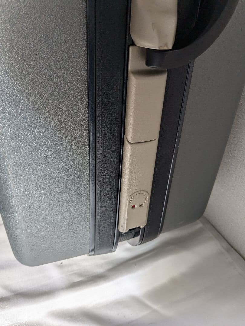 Samsonite キャリーケース スーツケース ピギーバッグ 大容量 110L