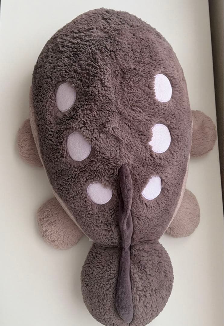 ドオー アローラロコン ぬいぐるみ セット売り