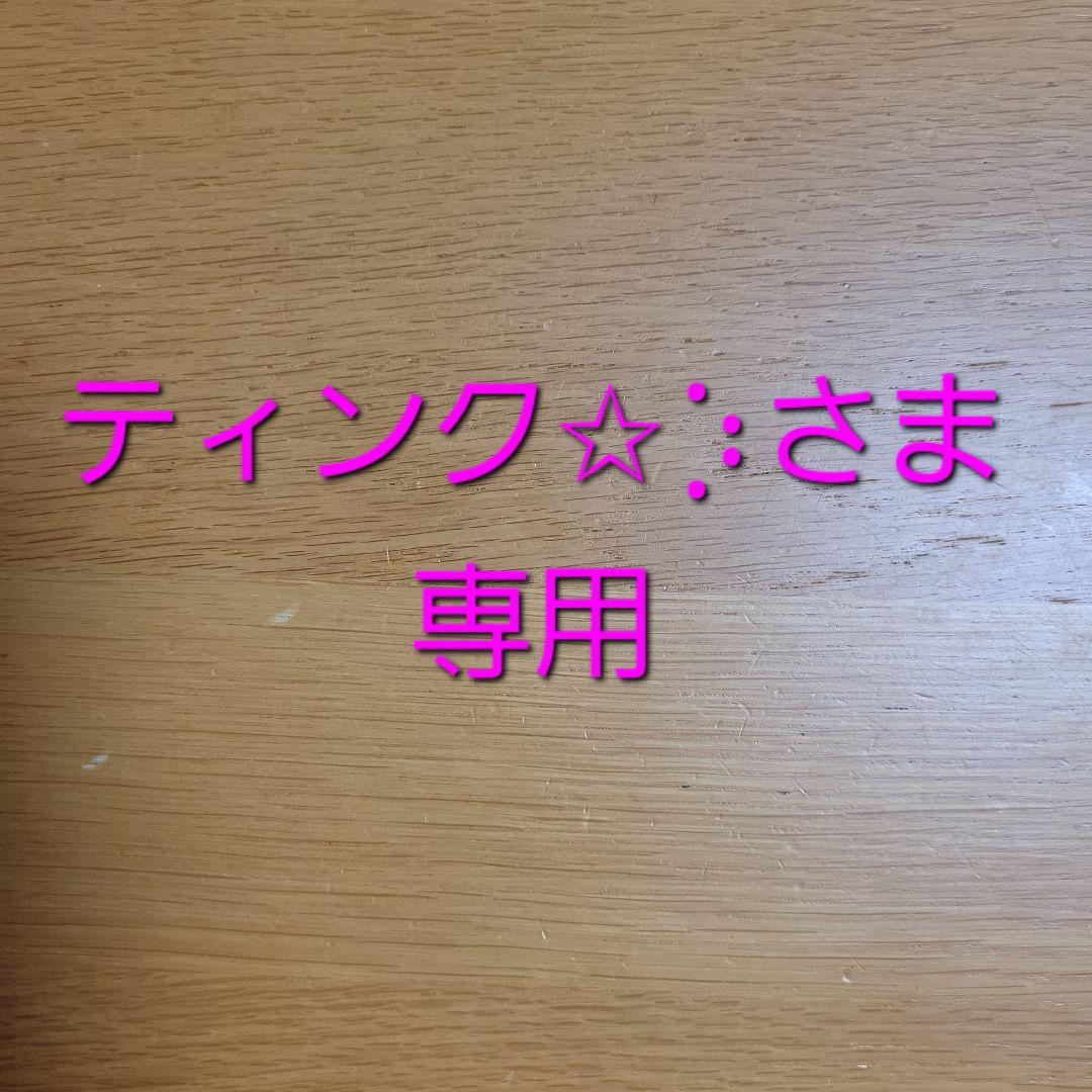 【専用】ティンク✩︎⡱様