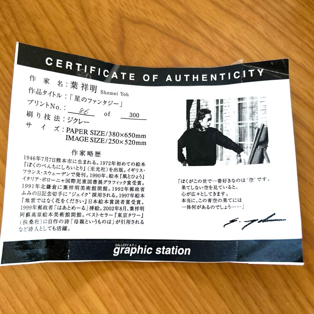 葉祥明　星のファンタジー　86/300