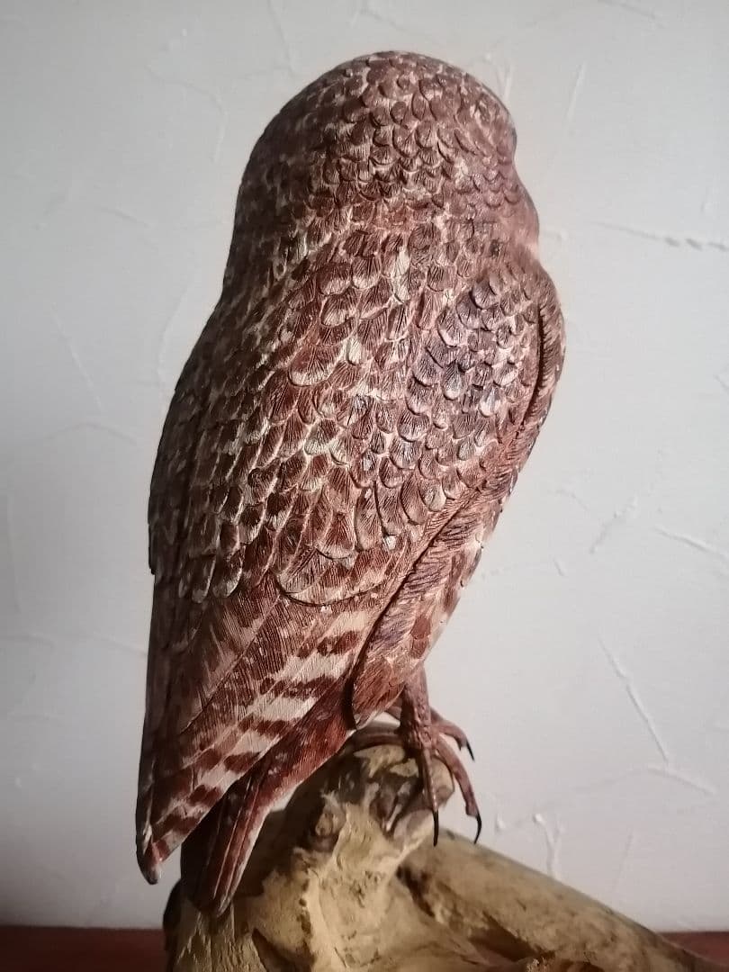 木製 アナホリフクロウ 梟 野鳥彫刻 バードカービング 木彫 野鳥