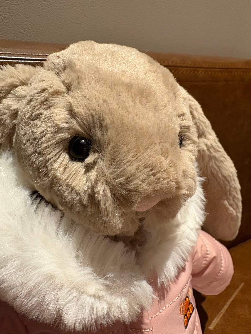 パンダ先輩 ジェリーキャットBashful Bunny  Suit