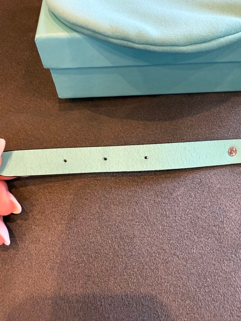 ティファニー　ペット首輪　Sサイズ