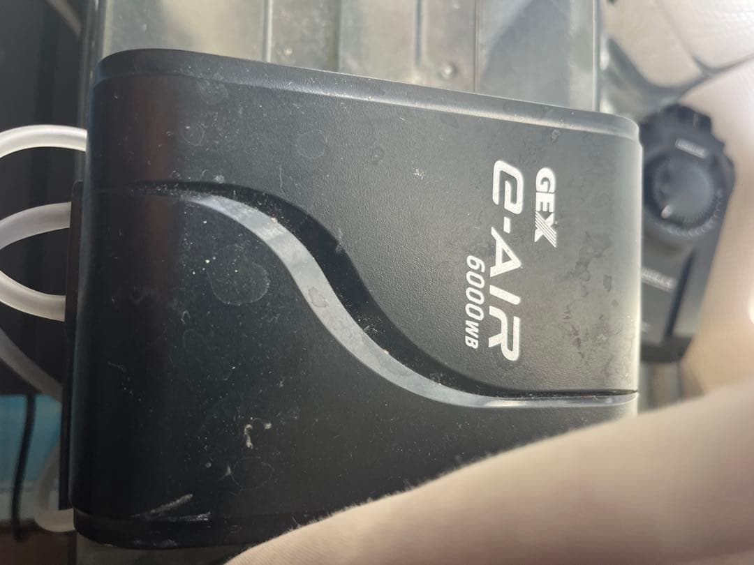 アクリル水槽 85×85×65