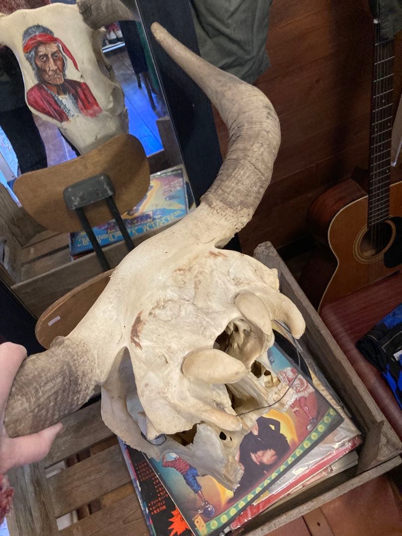 牛の頭骨 インディアン肖像画 1984年制作