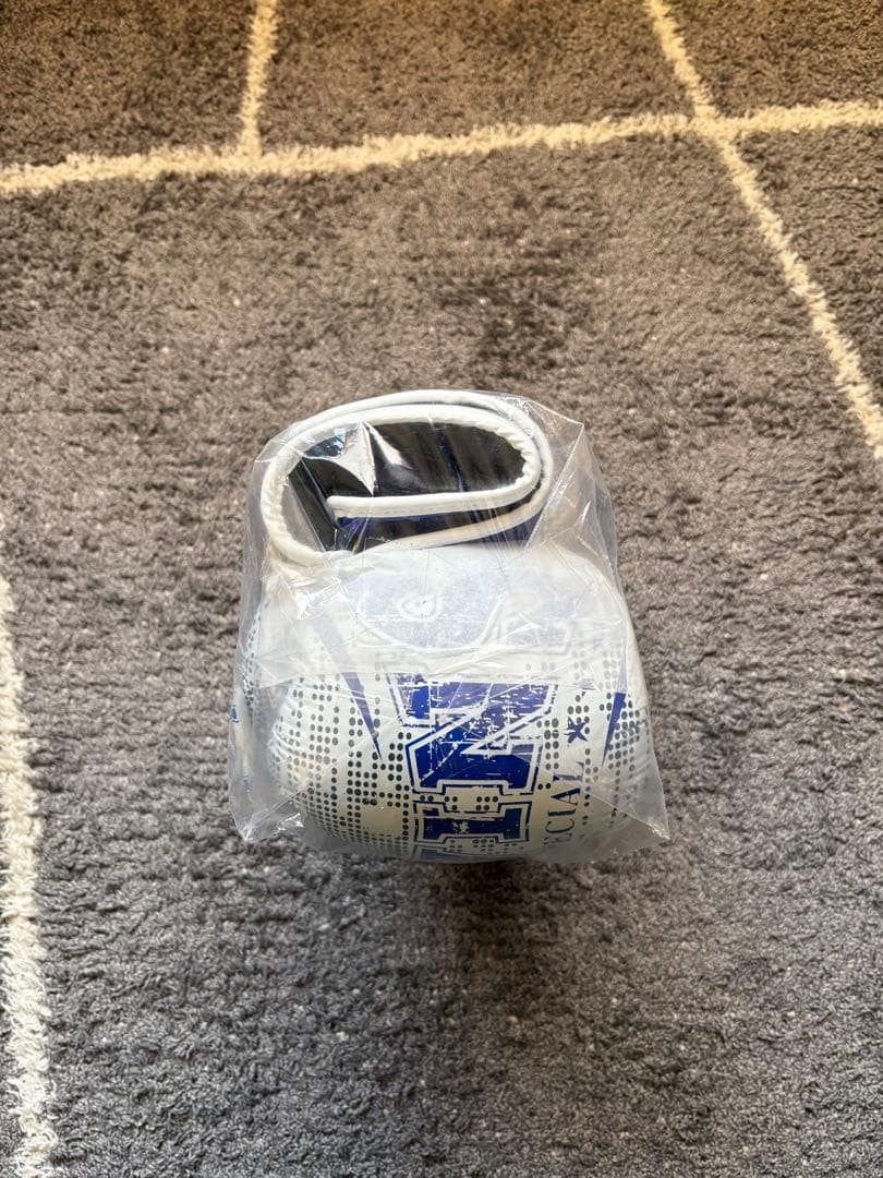 TWINS ボクシンググローブ 12oz 青/銀しみしみ