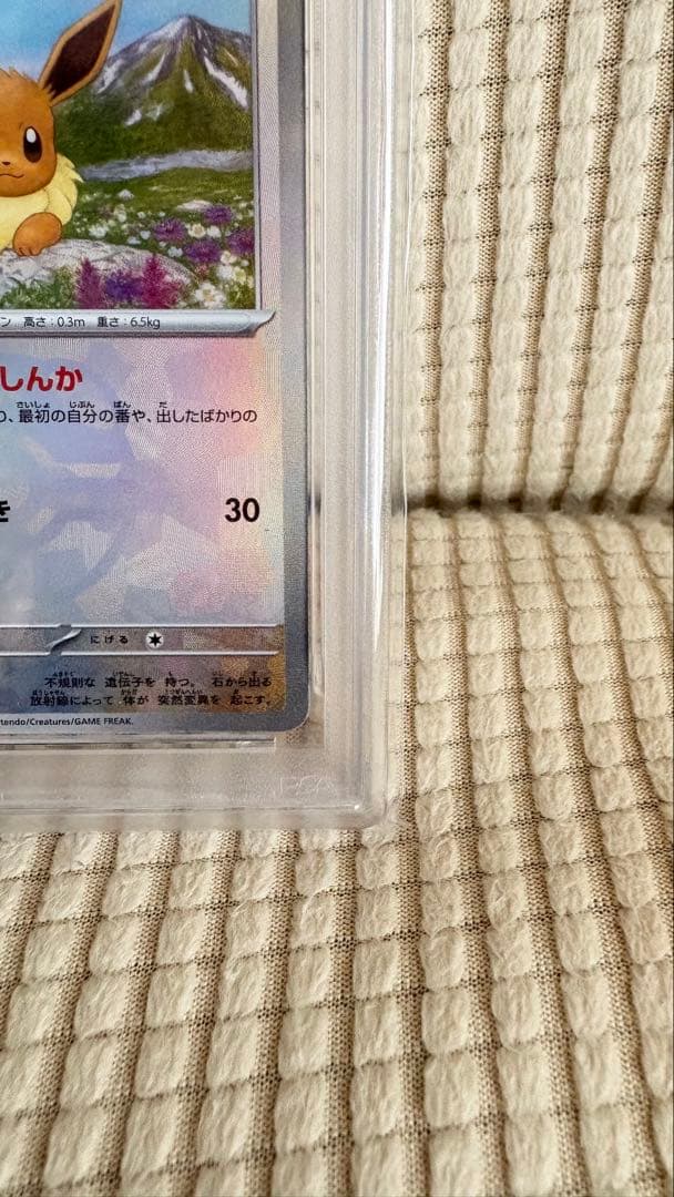 PSA10 イーブイ マスターボールミラー SV8a 125/187