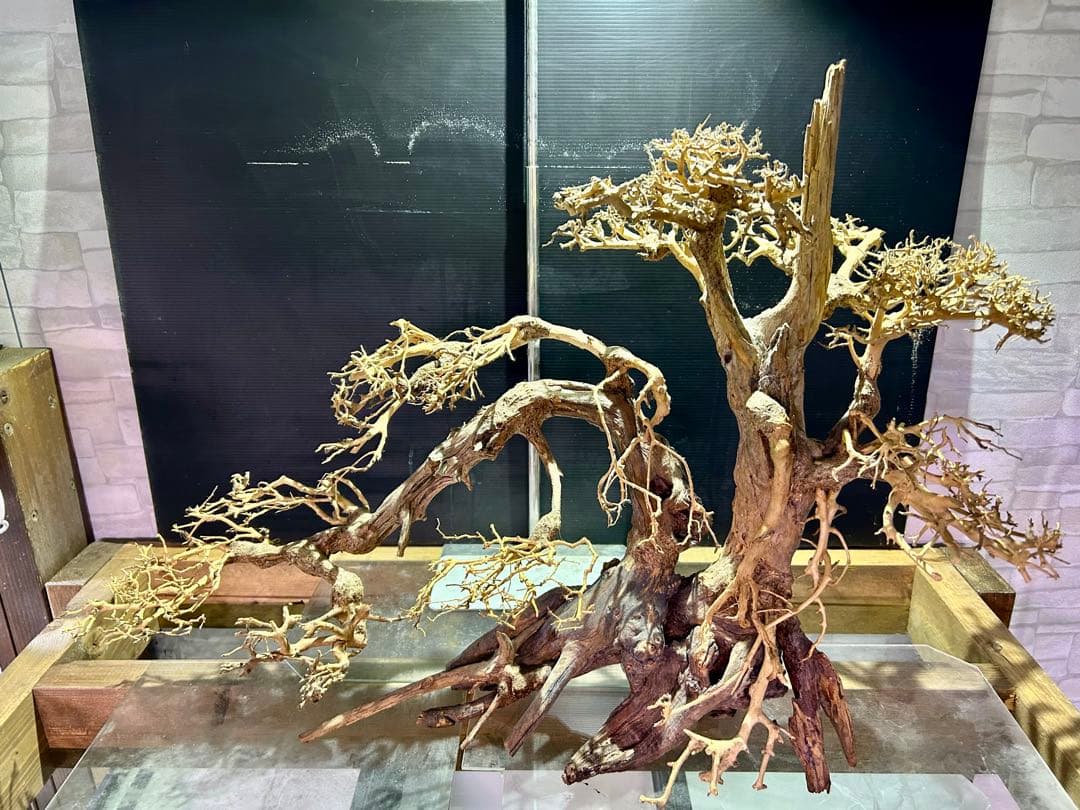 一点限り！超メルカリ市セール！盆栽流木XXLサイズ！