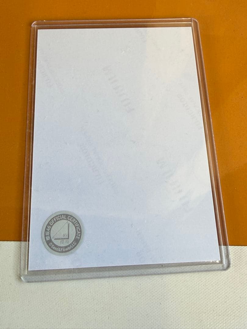 櫻坂46 勝又春 2025年サンタ衣装 直筆サイン入り生写真 チュウ