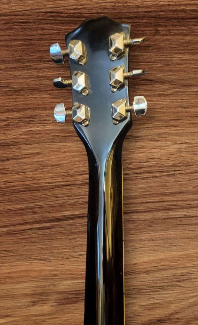 Vision by ARIAヴィジョン レスポールタイプ / ヴィンテージ！美品